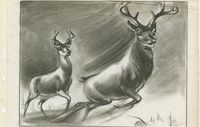 From Sketch Artist to Animator: Inspecting Some Pieces by Retta Scott