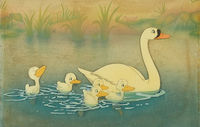 The Ugly Duckling