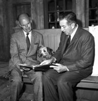 Walt Disney and Live-action Films