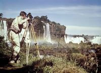 Disney Studio Photographer, production of Jungle Cat (1959); courtesy of the Walt Disney Archives; © Disney